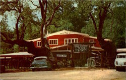 Main Entrance Petrified Forest Calistoga, CA Petrified Forest National Park Postcard Postcard