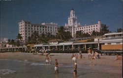 Roney Plaza Hotel Postcard