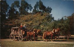 Stage Coach Knott's Berry Farm Postcard