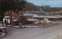 Blue Bird Motel Postcard