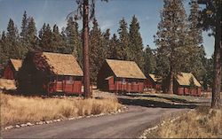 Cabins at Mineral Lodge California Postcard Postcard Postcard