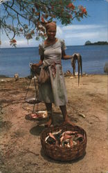 Trois-Rivieres: A well supplied woman fishmonger Martinique Caribbean Islands Rose Rosette Postcard Postcard Postcard