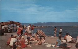 Beach Scene Postcard