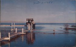 Salton Sea Beach Postcard