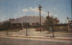 Motel Alamo Postcard