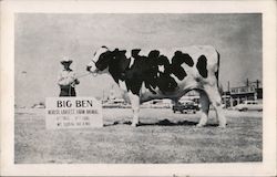 Big Ben - World's Largest Farm Animal Cows & Cattle Postcard Postcard Postcard