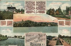 Views of Irondequoit Bay and Sea Breeze Postcard