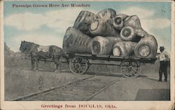 Wagon of Giant Parsnips Across the Tracks Douglas, OK Postcard Postcard Postcard