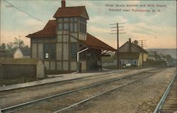 West Shore Station and Milk Depot near Fultonville Randall, NY Postcard Postcard Postcard