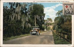 A Picturesque Highway Scene in the Sunny South Postal History Postcard Postcard Postcard