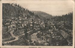 General View of Dunsmuir Postcard