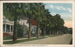 St. Charles Street, Showing Giant Palm Trees New Orleans, LA Postcard Postcard Postcard