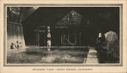 Swimming Tank Aetna Springs, CA Postcard Postcard Postcard