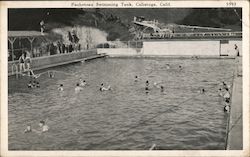 Pacheteau Swimming Tank Calistoga, CA Postcard Postcard Postcard