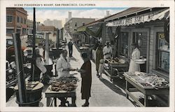 Scene Fisherman's Wharf Postcard