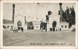 Selig Zoo Los Angeles, CA Postcard Postcard Postcard