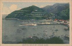 Beautiful Avalon Bay Postcard