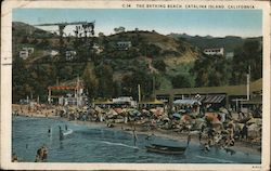 The Bathing Beach Santa Catalina Island, CA Postcard Postcard Postcard