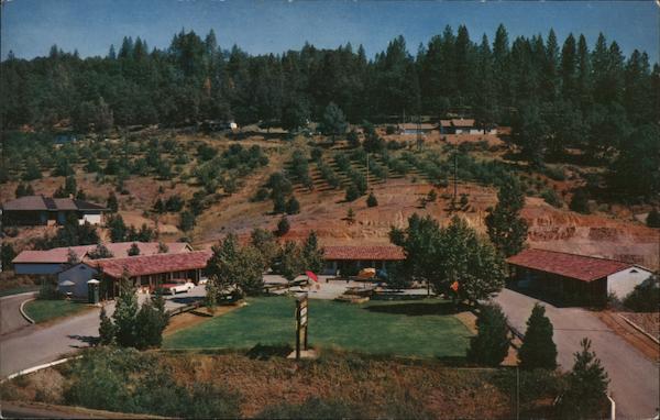 Gold Trail Motor Lodge Placerville, CA Postcard