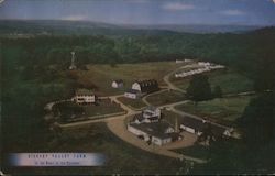 Hickory Valley Farm Stroudsburg, PA Postcard Postcard Postcard