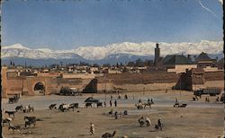 Marrakech (Marrakesh) Panoramic Photo Morocco Africa Postcard Postcard Postcard