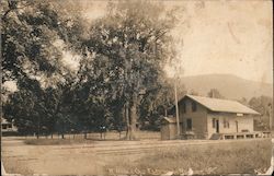 A Noble Old Elm, Railroad Depot Rupert, VT Postcard Postcard Postcard