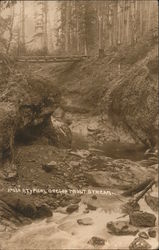 A Typical Oregon Trout Stream Postcard Postcard Postcard