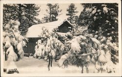 Winter Cabin, Andrews Camp Postcard