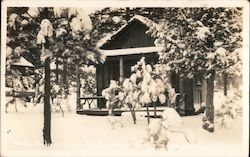 Winter at Andrews Camp Postcard