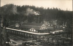 Curtis "Mill A" Postcard