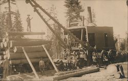 Men Working at Lumber Mill, Machinery Logging Postcard Postcard Postcard