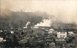 Lumber Mill Postcard