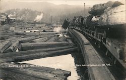 Dumping Logs in the Pond Postcard