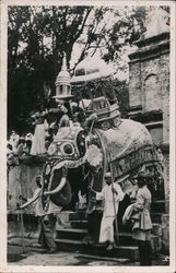 Caparisoned Elephant at the Temple of the Tooth, Candy Postcard