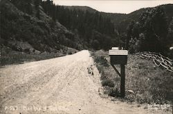 Mail Box at Tres Ritos Postcard