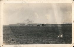 Cowboy Roping a Calf Rodeos Postcard Postcard Postcard