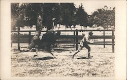 Ostrich Chasing Man Postcard