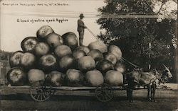 A load of extra good apples Postcard