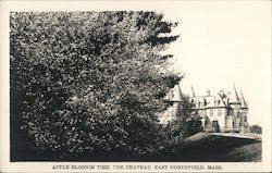 Apple Blossom Time, The Chateau East NOrthfield, MA Postcard Postcard Postcard