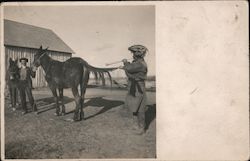 Men with Horses Postcard