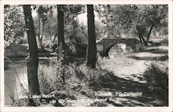 Munz Lakes Resort - Bridge Scene Postcard