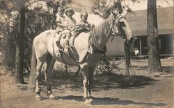 Three Kids on a Horse Postcard