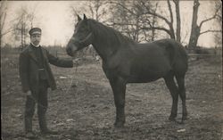 Man with Horse Horses Postcard Postcard Postcard