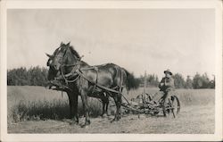 Horse Plough Horses Postcard Postcard Postcard