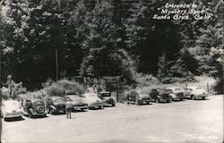 Entrance to "Mystery Spot" Santa Cruz, CA Postcard Postcard Postcard