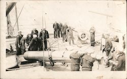 Seamen Load a Torpedo Aboard a Navy Vessel Postcard