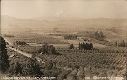 Hood River Valley Oregon Postcard Postcard Postcard