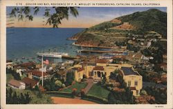 Avalon and Bay, Residence of P.K. Wrigley Postcard