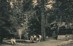 Forest Home Christian Conference Grounds, Mountain Trout Pool Postcard