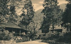 Forest Home Christian Conference Grounds Postcard